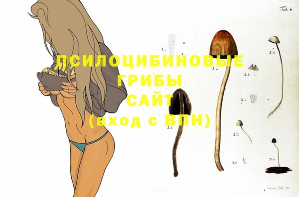 стаф Лабытнанги