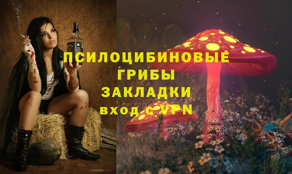 стаф Лабытнанги