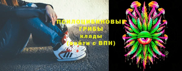 МДПВ Ладушкин