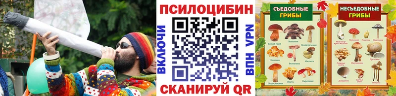 Галлюциногенные грибы мицелий  дарк нет официальный сайт  Невельск 