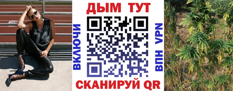 МАРИХУАНА SATIVA & INDICA  купить   Невельск 